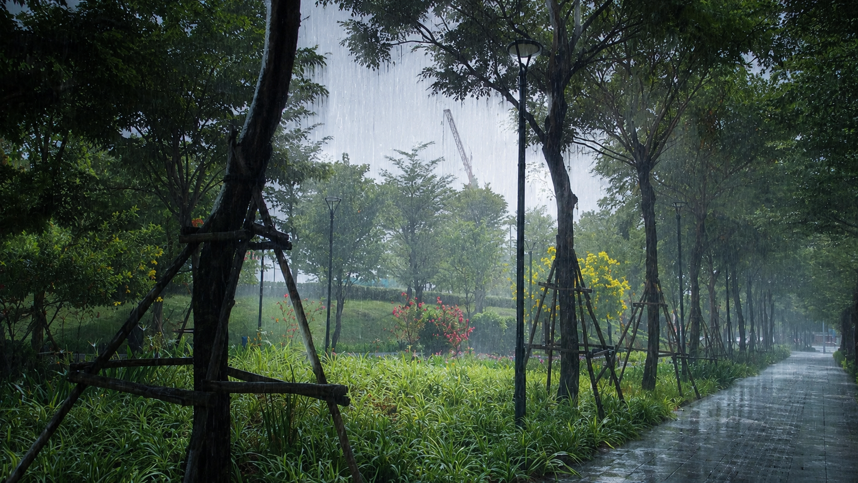 Ảnh bài viết
