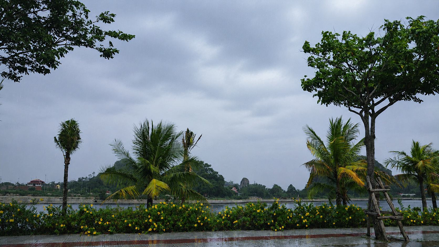 Ảnh bài viết