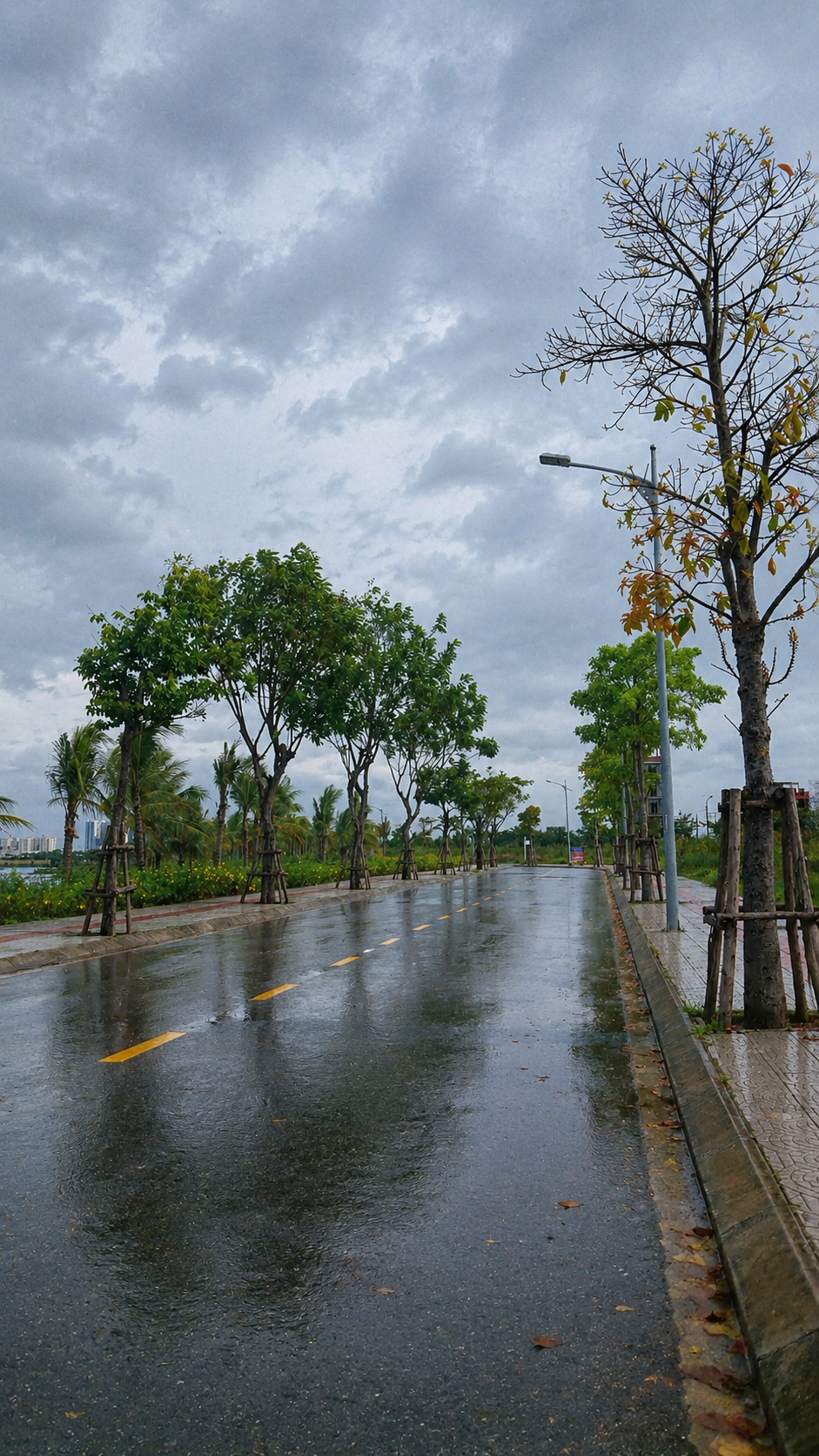 Ảnh bài viết